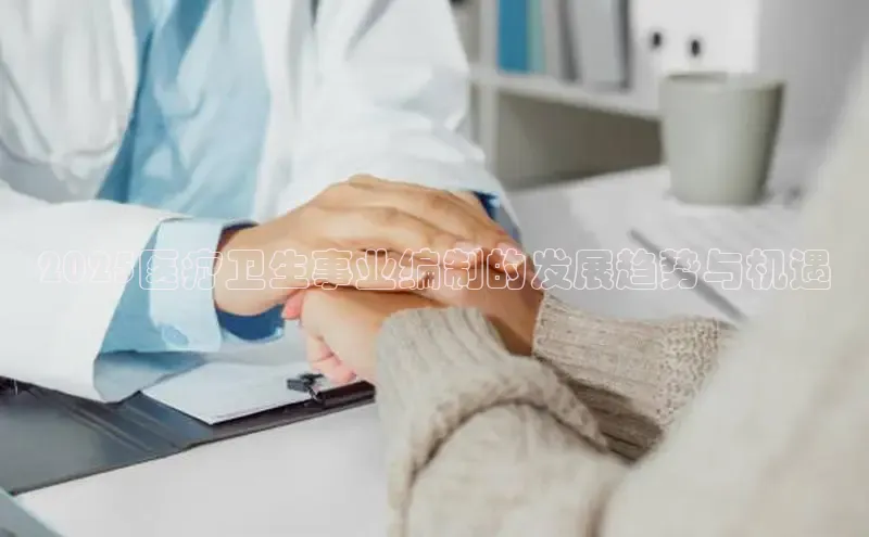 头玩官网登录入口