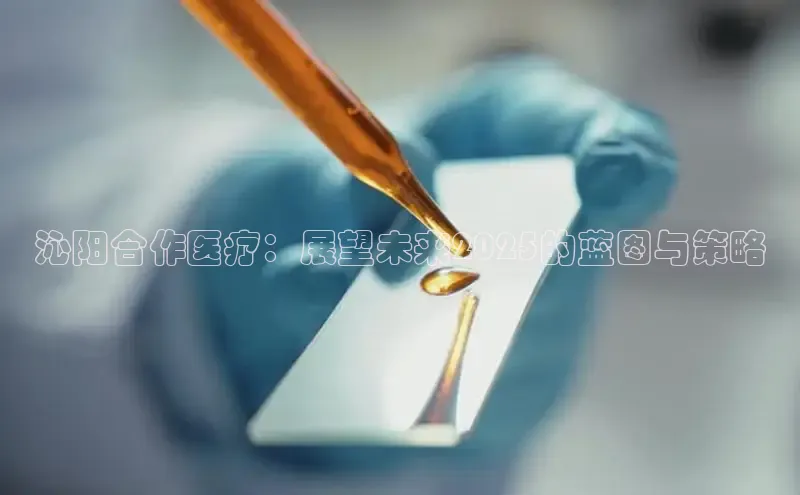 头号玩家娱乐平台