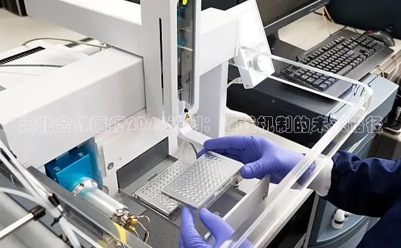 long8唯一中国官方网站