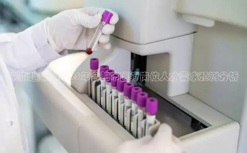 头玩官网登录入口